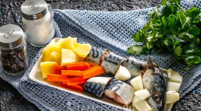كيف لطهي حساء السمك الرائع من أي سمك الماكريل هل من الممكن طهي حساء السمك من الماكريل؟