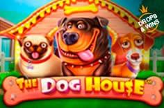 The Dog House